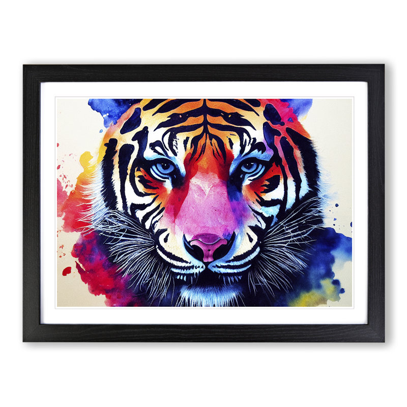Tiger In Colour - Single Picture Frame Print, Black Framed, 46cm H x 64cm W x 2cm D