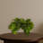 Pothos Artificial Plant in White Planter