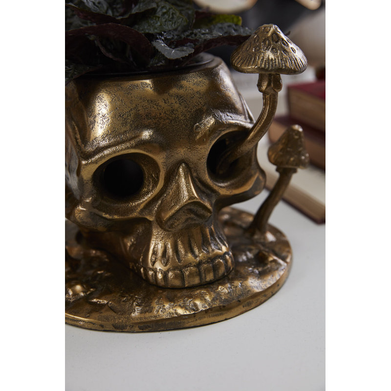 Cranium Pot 9.5"x 6.5"x 8"