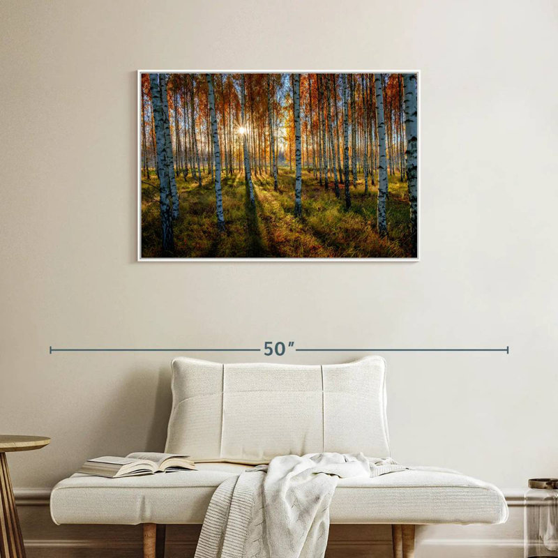 Forêt de bouleaux suédois, Cadre flottant blanc, 37 po x 25 po