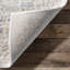 Oriental Area Rug-1628996757