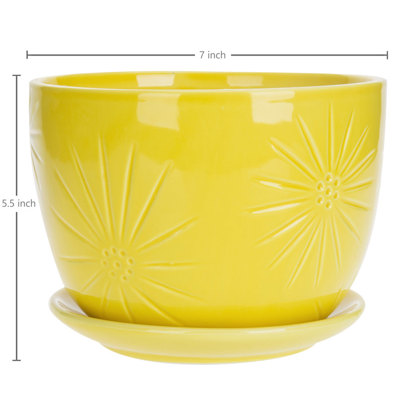 Edolie 7 Inch Indoor Ceramic Pot Planter, Yellow