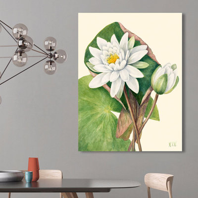 American Waterlily, 1920 by Mary Vaux Walcott - Art Prints on Canvas