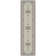 Attell Oriental Indoor Rug
