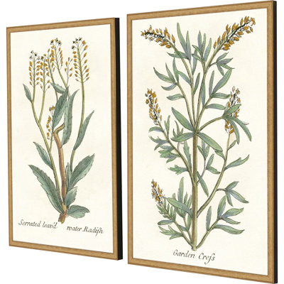 Plantes botaniques III S / 2