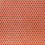 Eden 2.0 Rimmed 1" Hexagon Polished Porcelain Mosaic Tile-1625102275