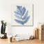 «Forest Ferns I Blue» par Albena Hristova, art mural sur toile-435346502
