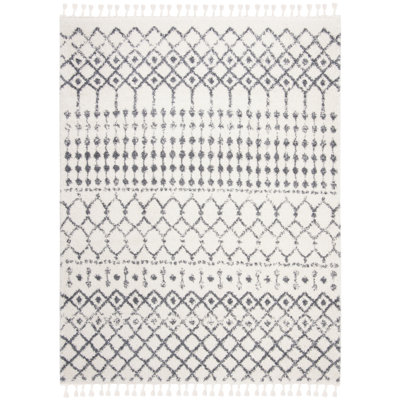 Lia Fringe Shag Performance Southwestern Rug