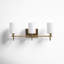 Rowley 3 Light Frosted Dimmable Vanity Light-1903484774