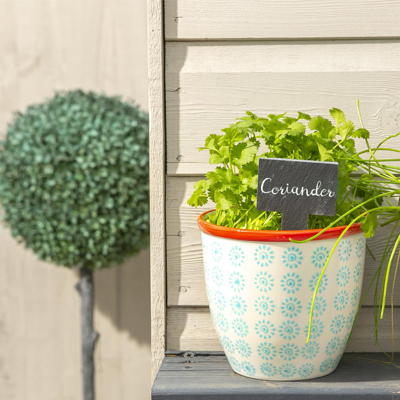 Nicola Spring Hand-Printed Plant Pots - 14cm - Turquoise - Pack of 2, Turquoise/Red