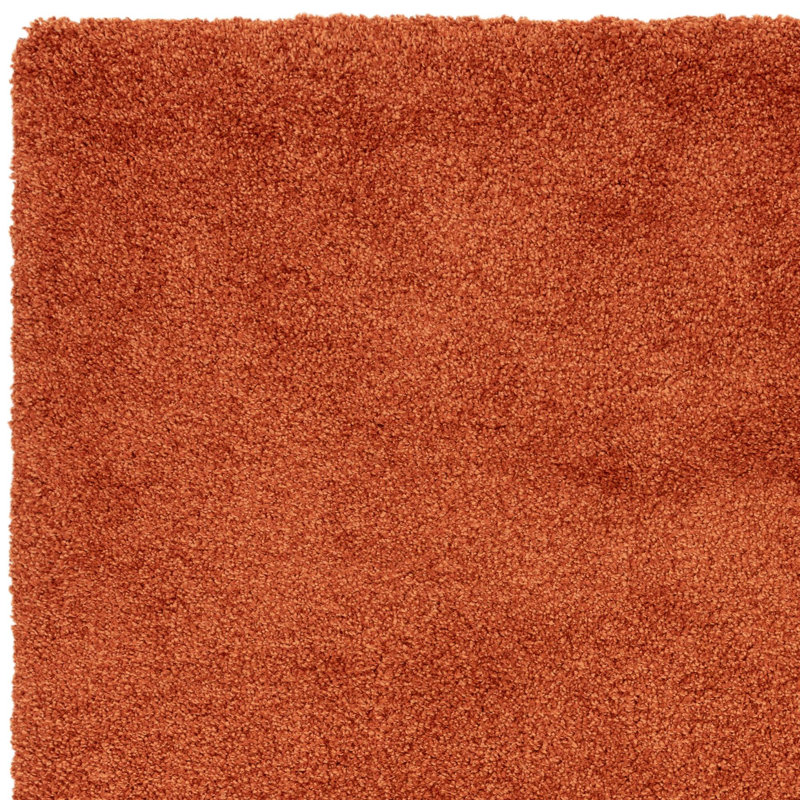 Taiwo Shaggy Orange Area Rug, Rectangle 120 x 170 cm