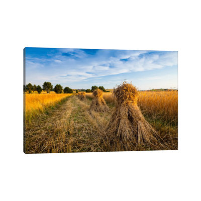 Poland, Jura, Harvest by Mikolaj Gospodarek - Wrapped Canvas Print