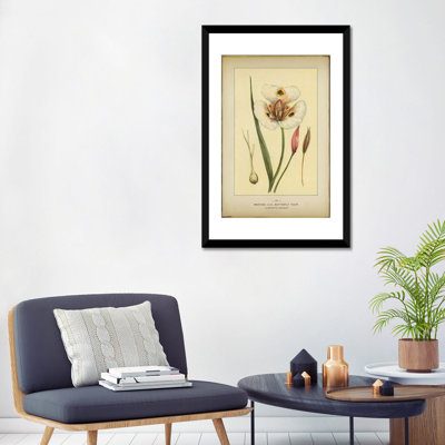 «Mariposa Lily», reproduction sur toile