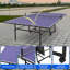 Blue Elephant Foldable Table Tennis Table with Wheels (Paddles Included)