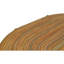 Hand Knotted Wool Area Rug in Tan