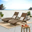 Paire de chaises longues, fabrication en fer, aucun assemblage requis, P 79,25 po x l 27,72 po, H 15,02 po, cadre, assemblage,