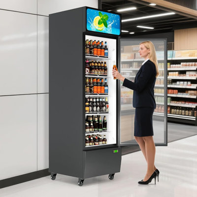 13.4 Cu.Ft Commercial Refrigerator with Glass Door, LED Lights & Adjustable Shelves