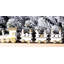 Beaton Christmas Decorative Accent