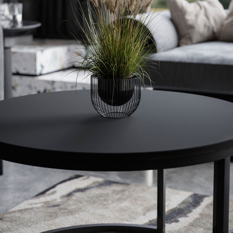 Shivendra Coffee Table, Black / Wotan oak