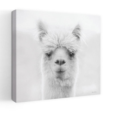 Chip The Alpaca Contemporary Animal Portrait Art