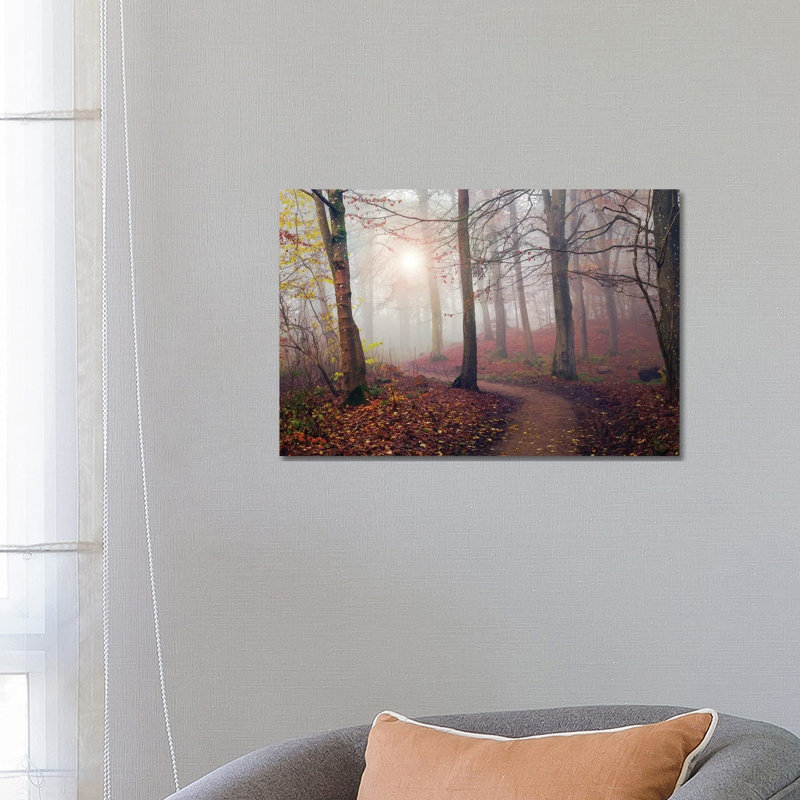 Autumn Sun by Leif Londal - Wrapped Canvas Print, 66.04 cm H x 45.72 cm W x 1.91 cm D