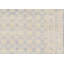 Hand-Knotted High-Quality Beige Area Rug