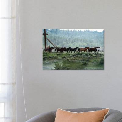 Round Up 1 Piece Wrapped Canvas Wall Art