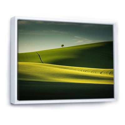 Photo de prairie monochrome verte sur toile