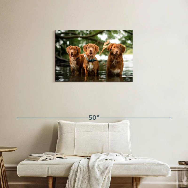 Brampt Tollers In The Water, 20" H x 30" W