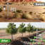 Mangeoire d'arbre en acier inoxydable 32 po Soontrans