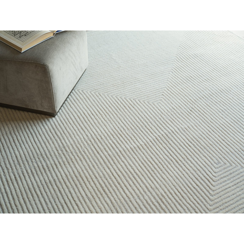 Serenity handloomed PET Beige/Brown Area Rug, Silver/Ivory, Rectangle 10' x 14'