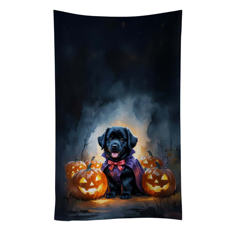 Torchon noir pour chien de Terre-Neuve, Noir Terre-Terre