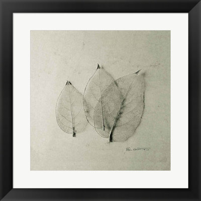 Trio de feuilles de squelette par Ed Goldstein, art mural encadré par Ed Goldstein