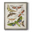 Toile encadrée de qualité supérieure Antique Moths II - prête à être accrochée-969809181-969809179