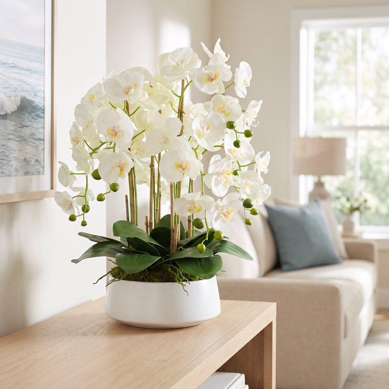 Arrangement d'orchidées Joellen