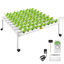 Unité de production de fruits et légumes 10 watts VEVOR