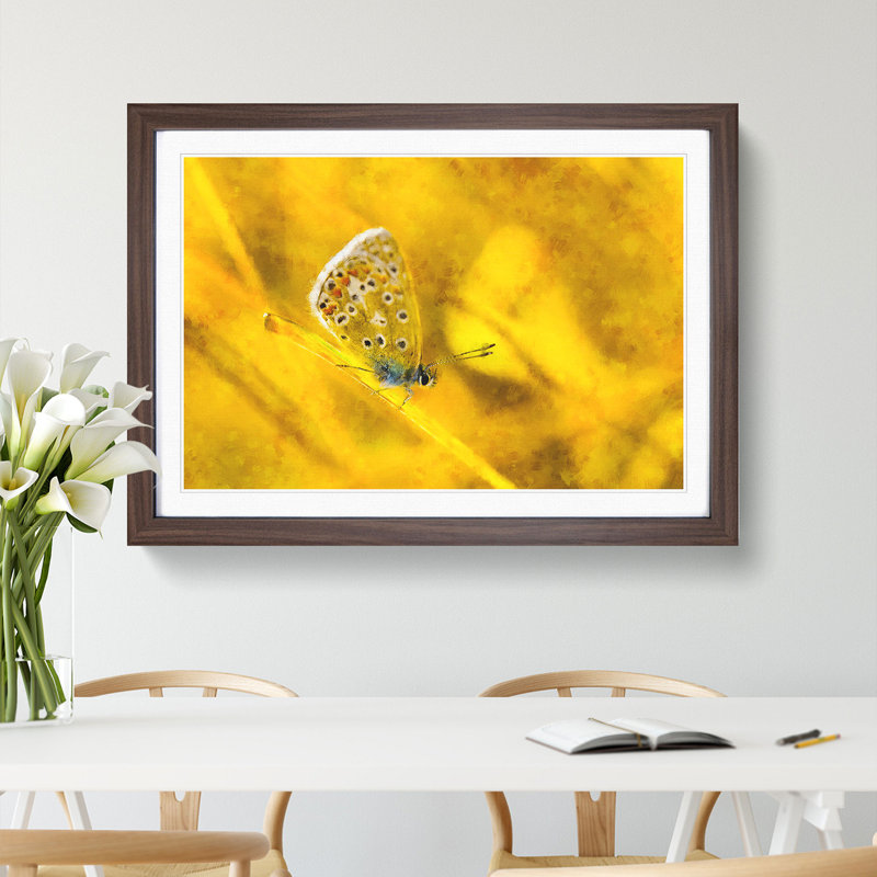 Yellow Butterfly - Picture Frame Painting Print, 36cm H x 48cm W x 2cm D, Walnut Framed