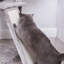 habitation pour chat 66 "McCurry-185038776