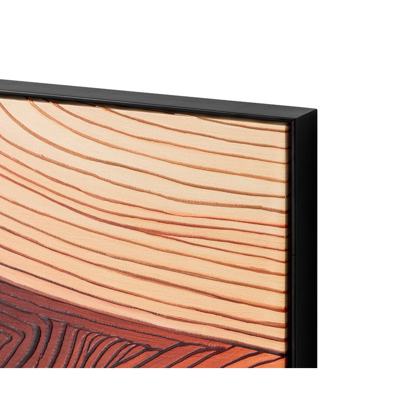 Cadre flottant noir Canyon Dreams I - 48 po x 48 po