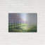 «Orchard Trees In Blossom» par Marc Todd-1459790150