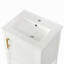 Meuble-lavabo de 20 po avec lavabo, armoire de salle de bain avec porte à fermeture douce, support de rangement et tablette ouverte-335217138