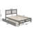 Anakin Solid Wood Platform Bed with Matching Trundle-557362989-557362987