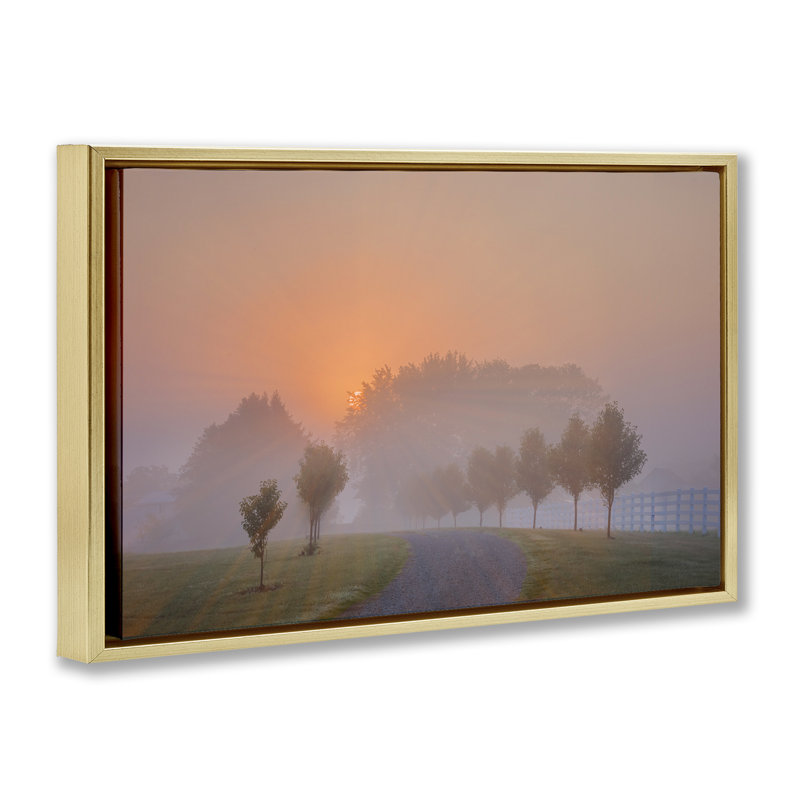 «Grove Path at Sunset Floater» par Marty Hulsebos, Cadre flottant métallique doré, H 17 po x l 25 po