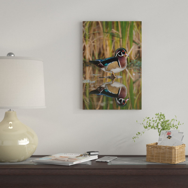 « wood duck masculin », reproduction de photo sur toile, H 26 po x l 18 po x P 1,5 po, Toile tendue, Pas de tapis