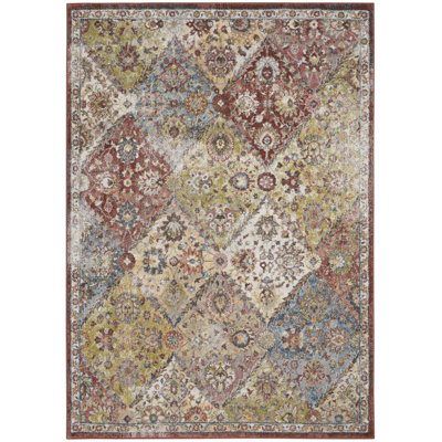 Seriya Oriental Indoor Rug