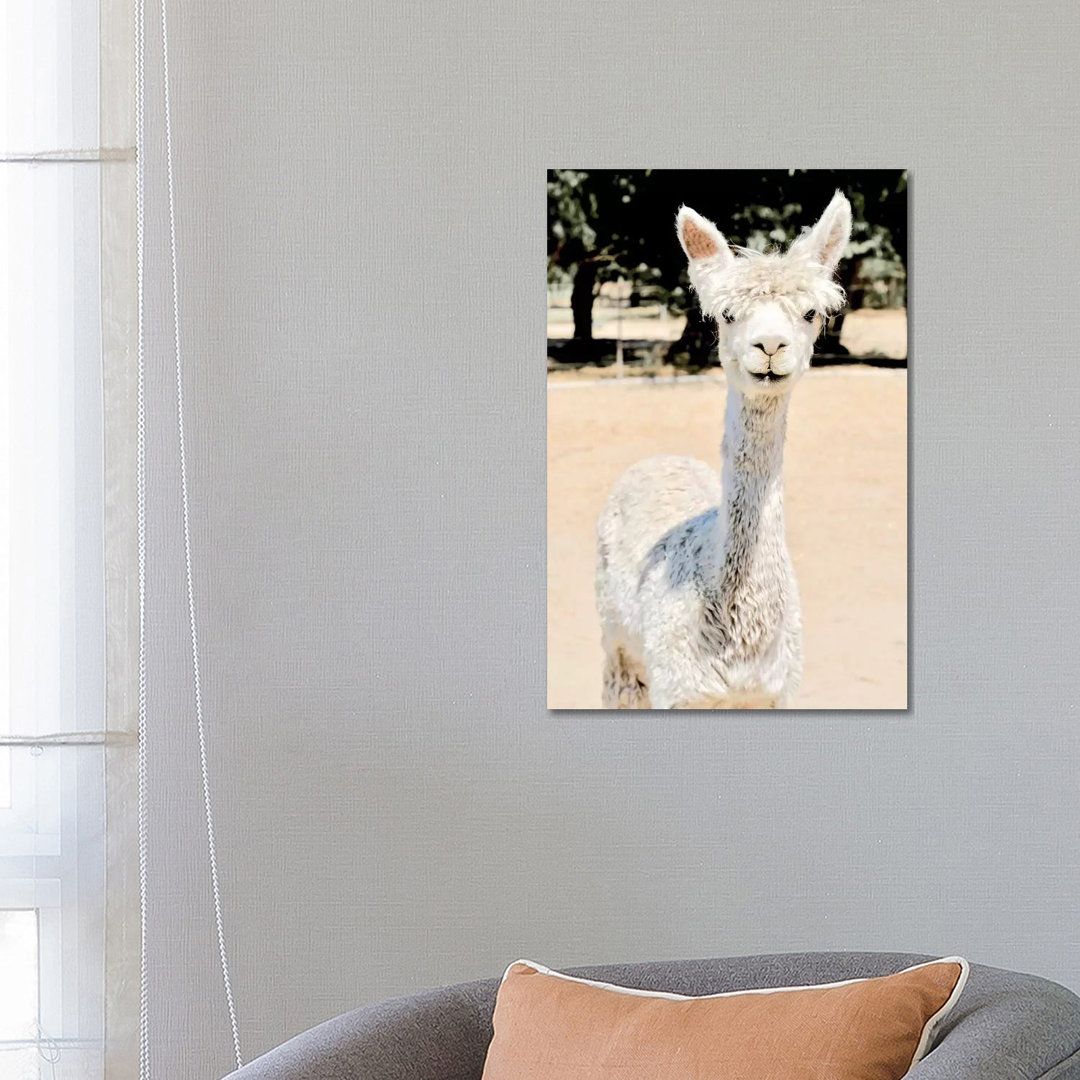 Extra White Alpaca von Susan Vizvary - Giclée auf Leinwand ohne Rahmen