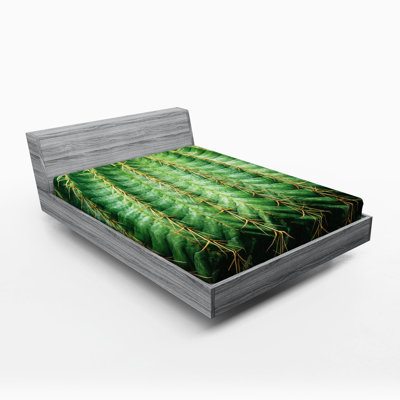 Drap-housse de cactus