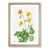Oak Framed selected