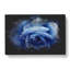 Blue Rose - Wrapped Canvas Painting-56643166