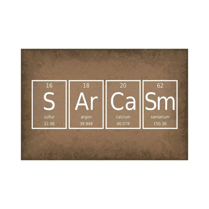 Sarcasm 1 Piece Wrapped Canvas Wall Art, 30.48 cm H x 45.72 cm W